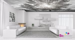plafond-impression-numériqueFournisseur